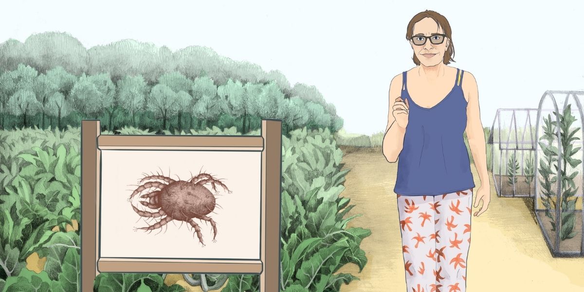 Lire la suite à propos de l’article SuperPest Project