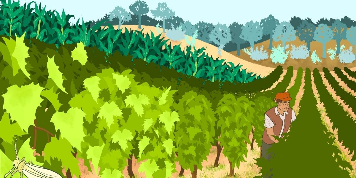 Lire la suite à propos de l’article Approche système