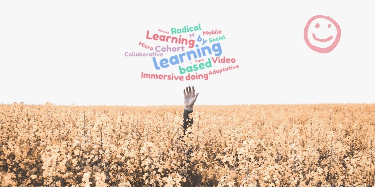 Lire la suite à propos de l’article Du Learning un peu partout