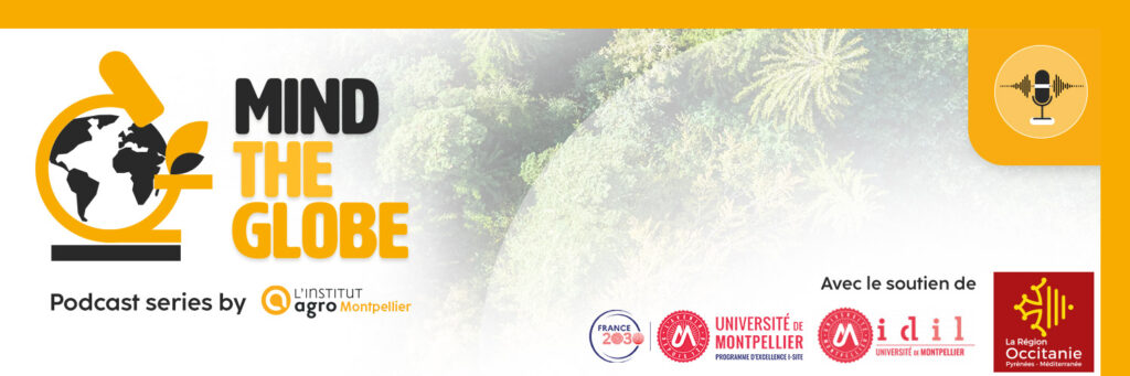 Bannière Podcast mind the Globe