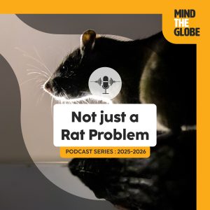 Podcast Mind the globe saison 2 épisode 1 : Not Just a Rat Problem: Christophe Diagne on Rodents, Invasions & Zoonotic Risk
