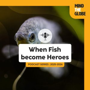 Podcast Mind the globe saison 2 épisode 8 : ⁠⁠When Fish Become Heroes: A Nature-Based Solution to Dengue - with Pr Alejandro López