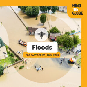 Podcast : When the Water Gets Wild: A Flood of Knowledge with Niko Verhoest